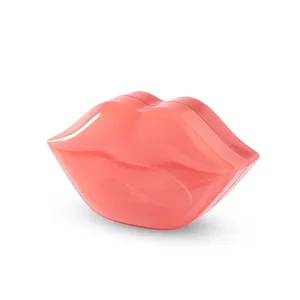 product Hydrogel Lip mask 22pcs M-3986