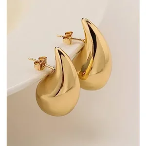 product Stainless Steel earrings 750683