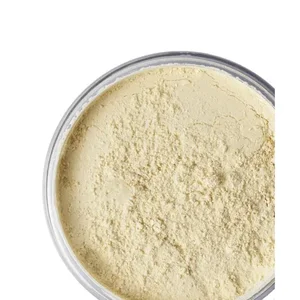 product LOOSE POWDER MATTIFYING TRANSLUCENT